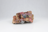 Live Rock Replica #53