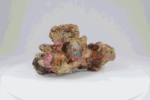 Live Rock Replica #11