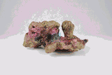 Live Rock Replica #13