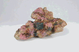 Live Rock Replica #14