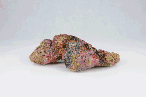 Live Rock Replica #19