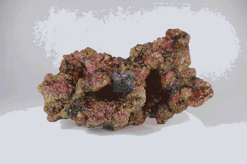 Live Rock Replica #21