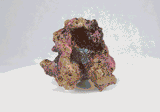 Live Rock Replica #35
