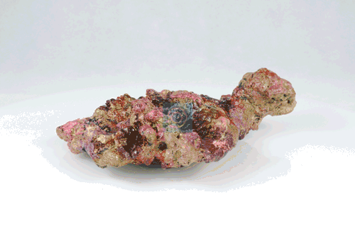 Live Rock Replica #43