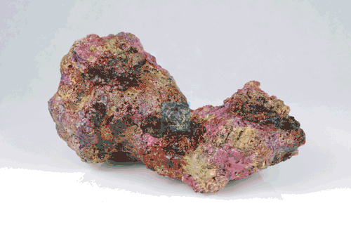 Live Rock Replica #51