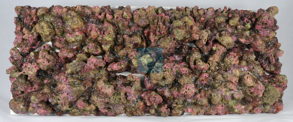 Live Rock Replica Background Marine