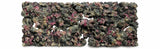 Live Rock Replica Background Marine